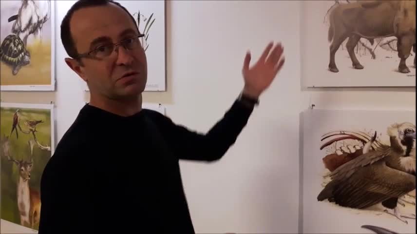 Голямото завръщане 2