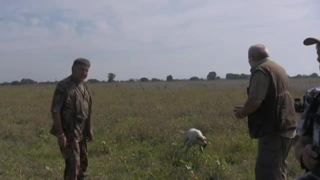Тежък бракониерски инцидент в Момчилград