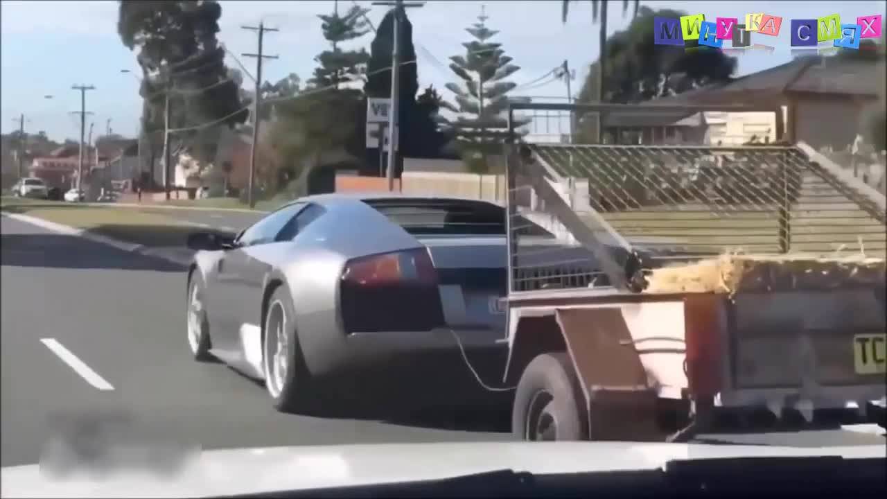 Тези лудаци ще ви спукат от смях !