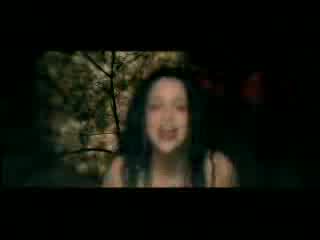 Evanescence - Sweet Sacrifice
