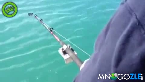 Рибата се оказа много по-голяма от очакваното