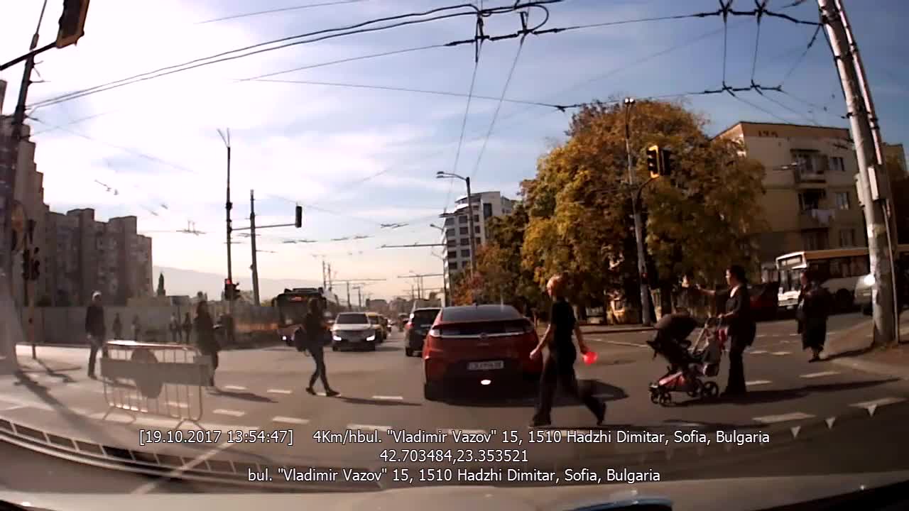 До какво води човешката глупост