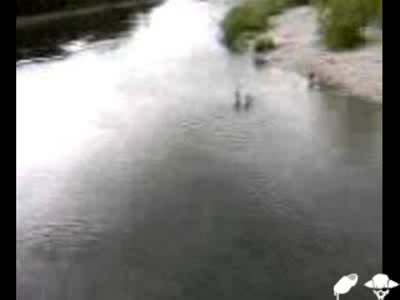 много гадно падане във вода