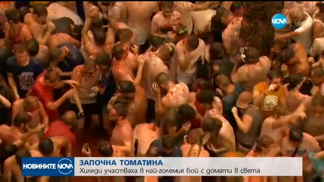 БОЙ С ДОМАТИ: Започна традиционната „Томатина” в Испания