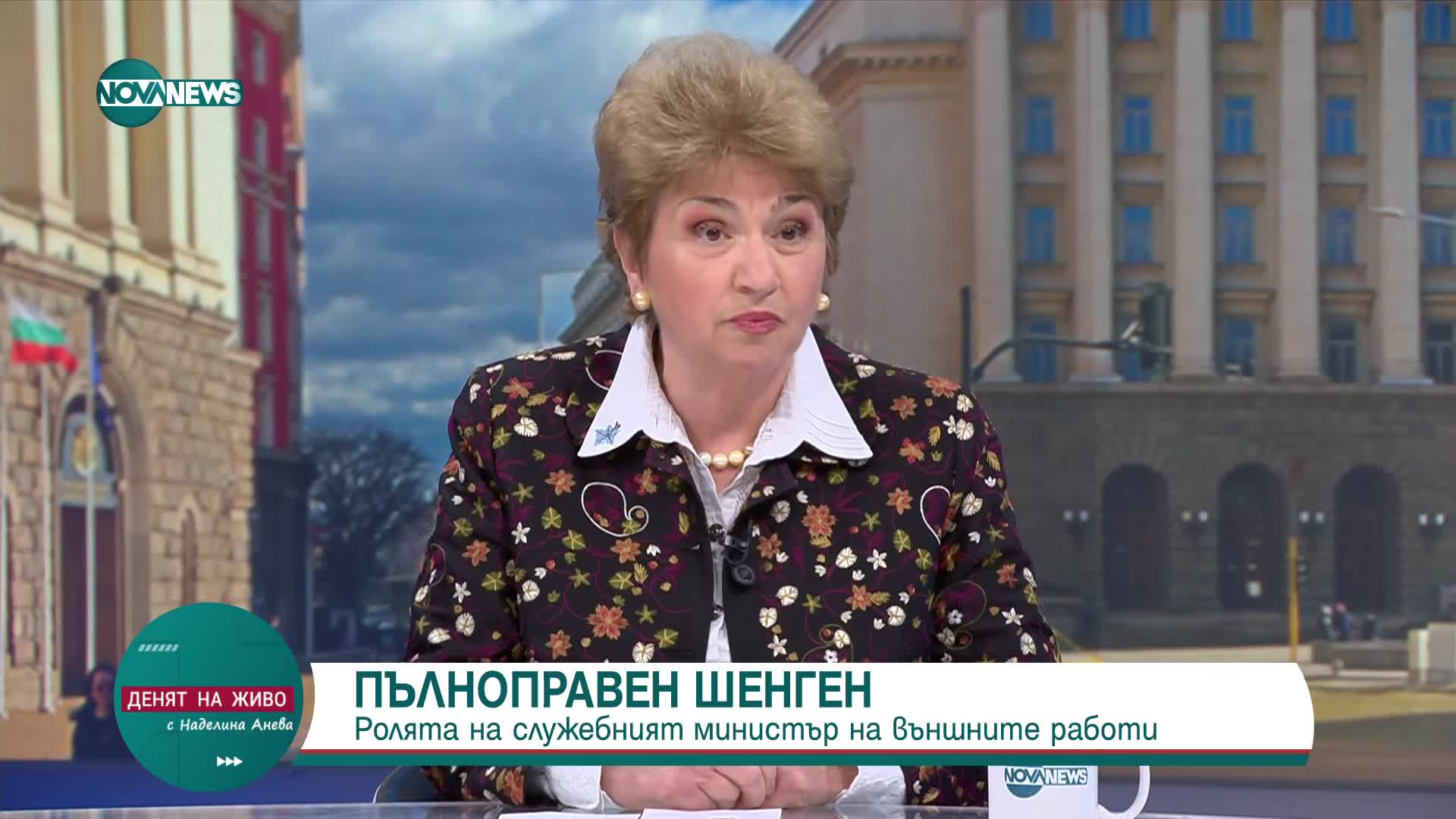 Плугчиева: Престъпно е предложението на Василев за преобразуването на Горските стопанства в дружеств