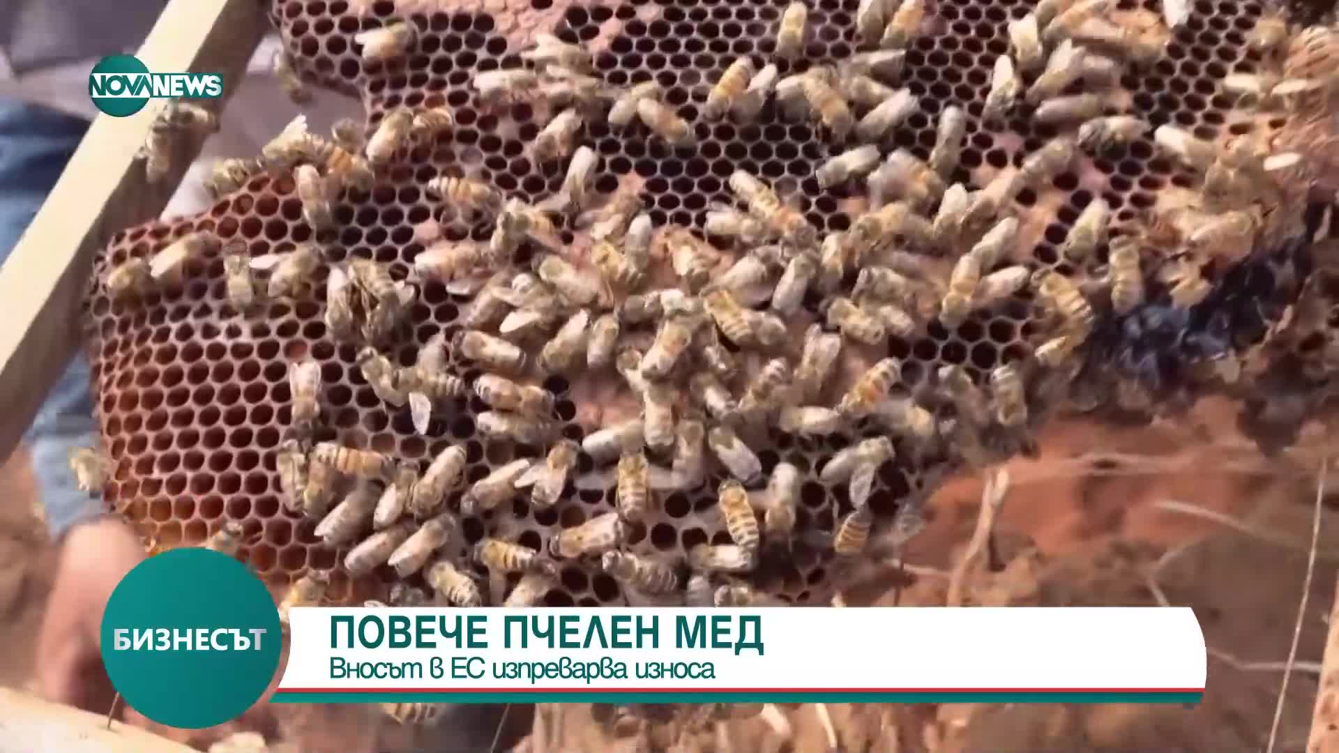 ПОВЕЧЕ МЕД: Вносът в ЕС изпреварва износа