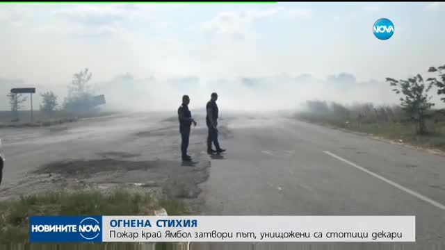 Голям пожар унищожи стотици декари растителност край Ямбол
