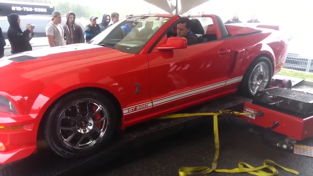 Гаф с Ford Shelby Gt500