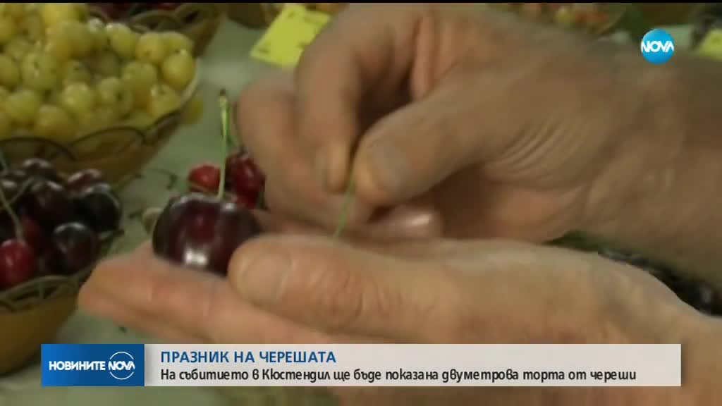 Двуметрова торта от череши на празника на вкусния плод в Кюстендил