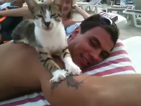 Сладко коте масажира мъж .