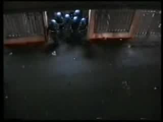 Фенове Срещу Полицай