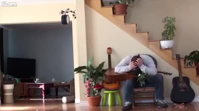 Нахален стопанин и много отмъстителна котка !