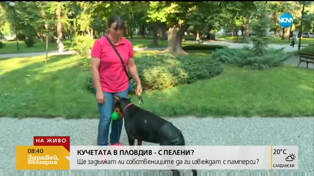 Кучетата в Пловдив - с пелени?