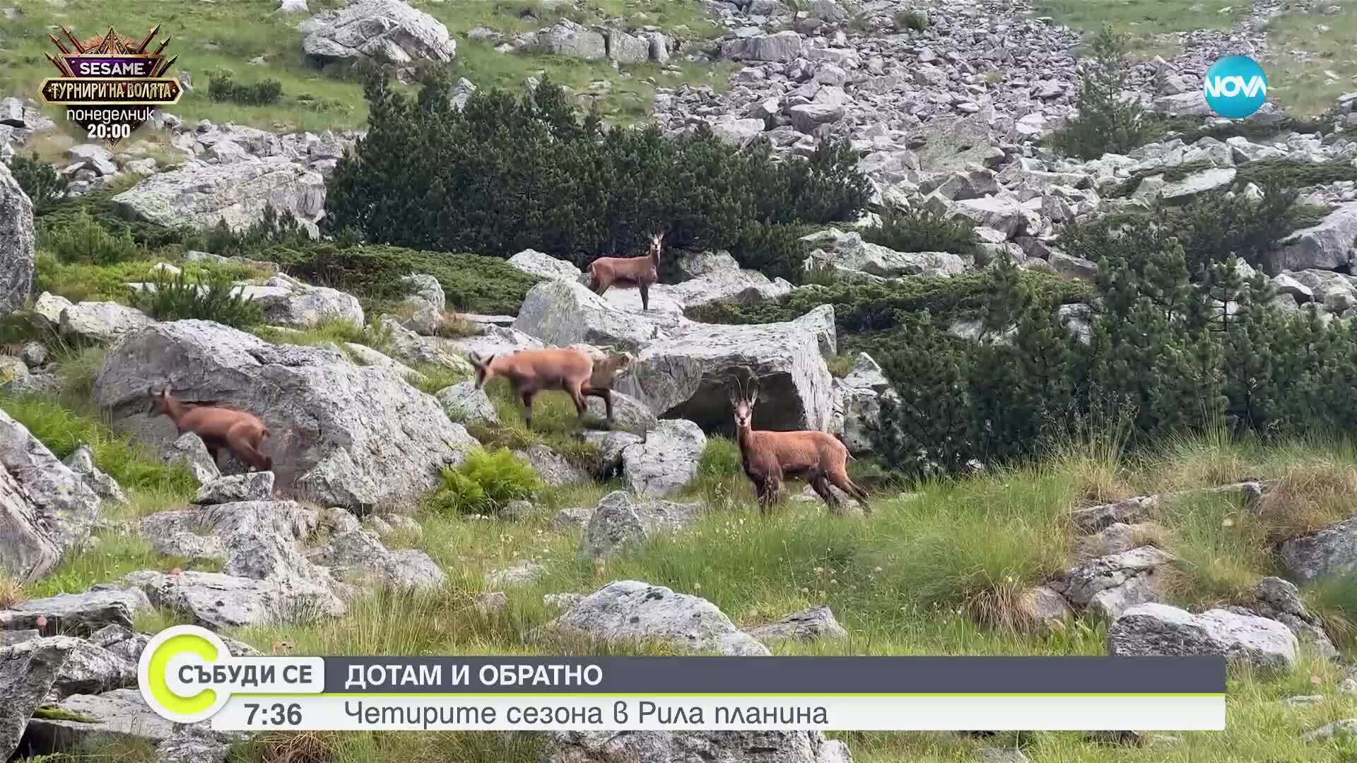 „Дотам и обратно”: Четирите сезона в Рила