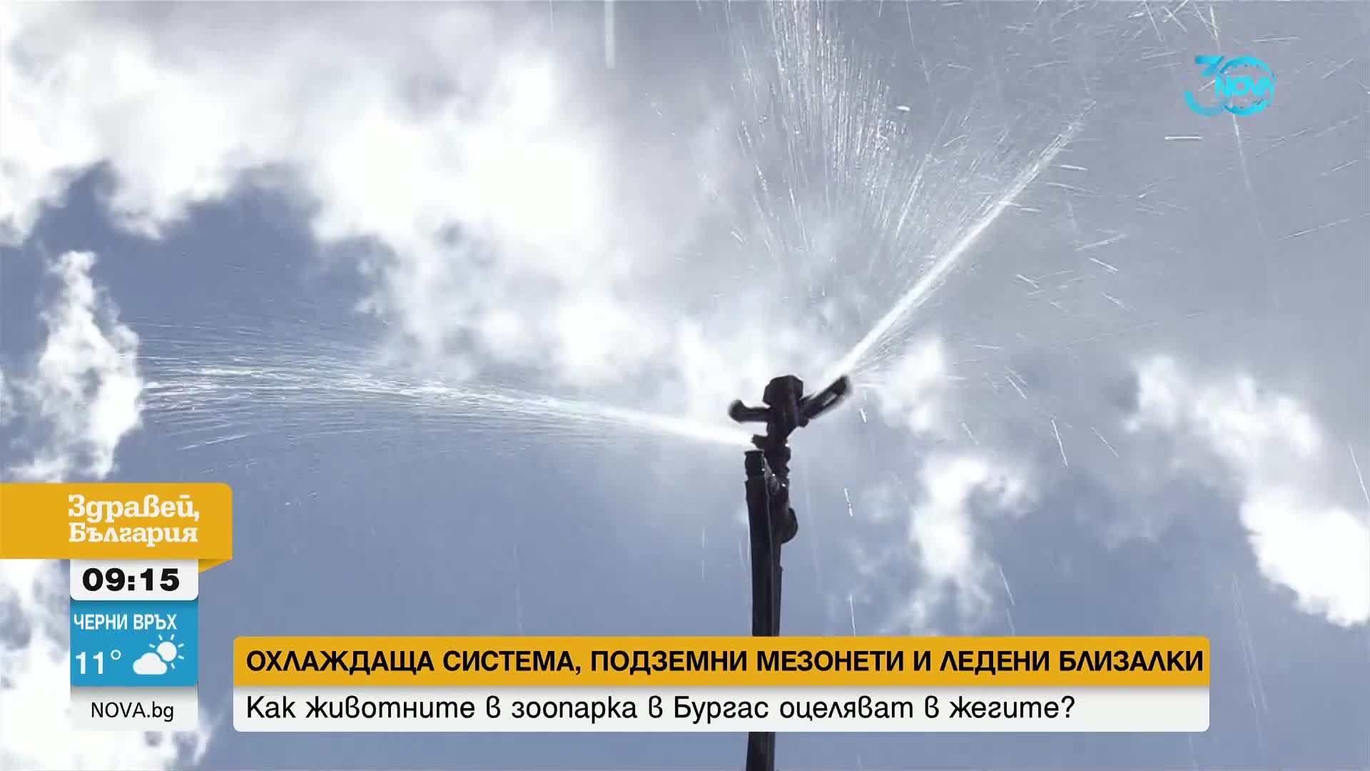 Как животните в зоопарка в Бургас се разхлаждат в жегите
