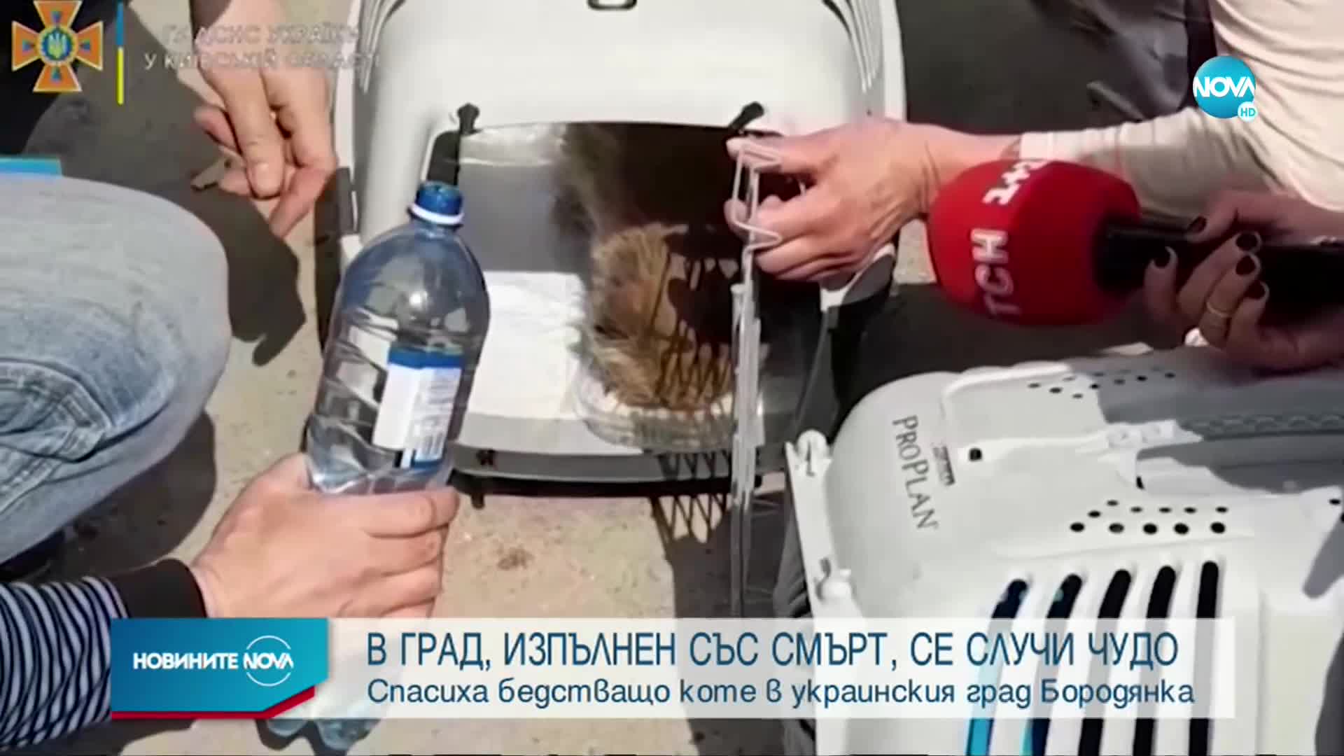 Чудо по време на война