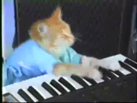 Дузпа - Много Смях ! 