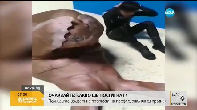 Тюлен прави коремни преси