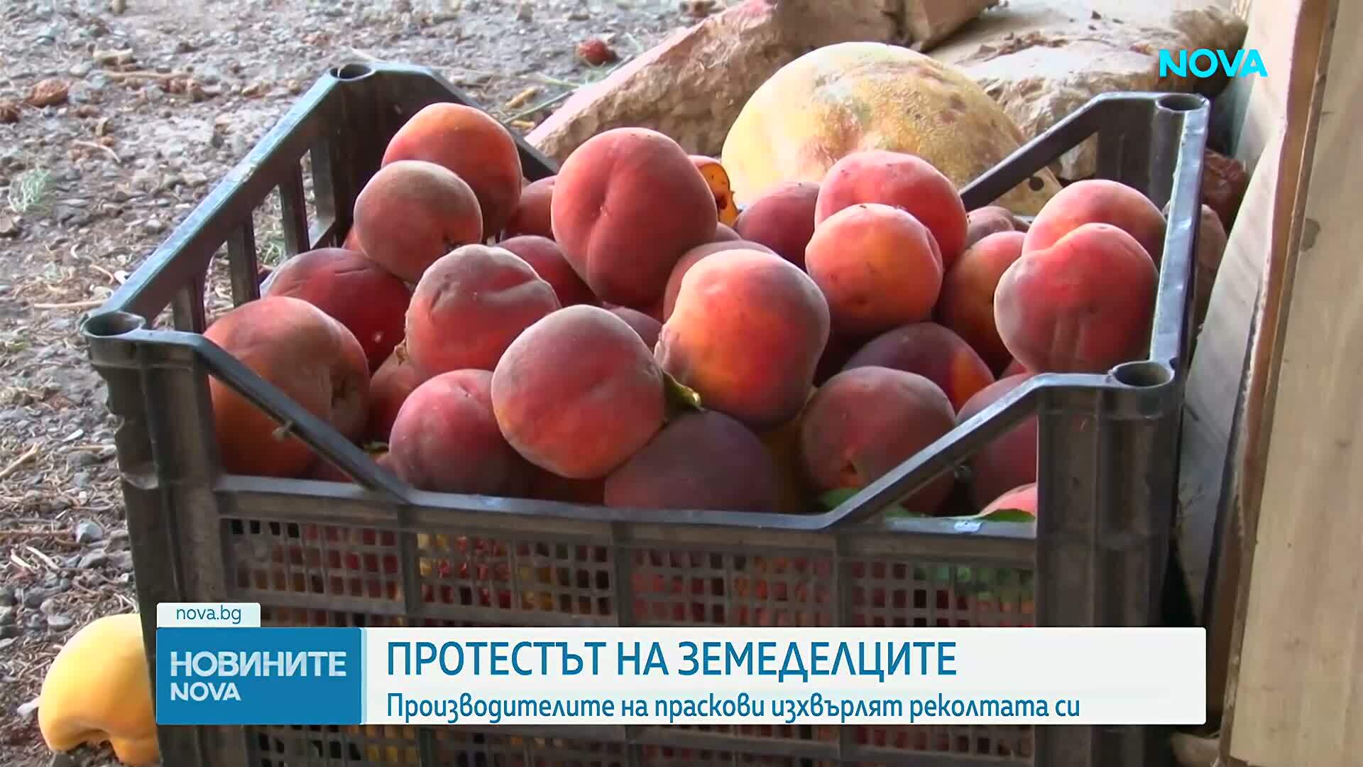 Земеделци от Сливенско - на протест заради ниски изкупни цени и липса на пазари