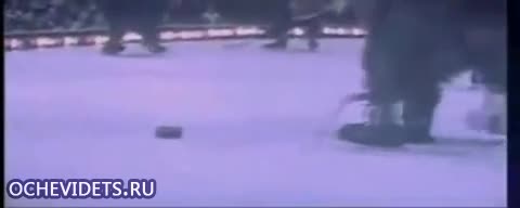 Мечки играят хокей на лед !