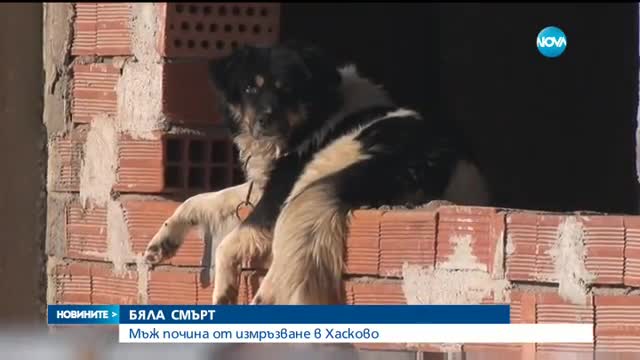 Новините на NOVA (12.01.2017 - следобедна)