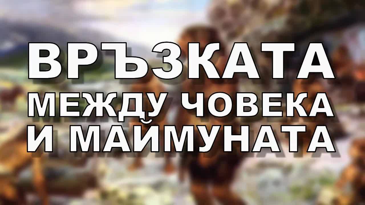 Откриха връзката между човека и маймуната