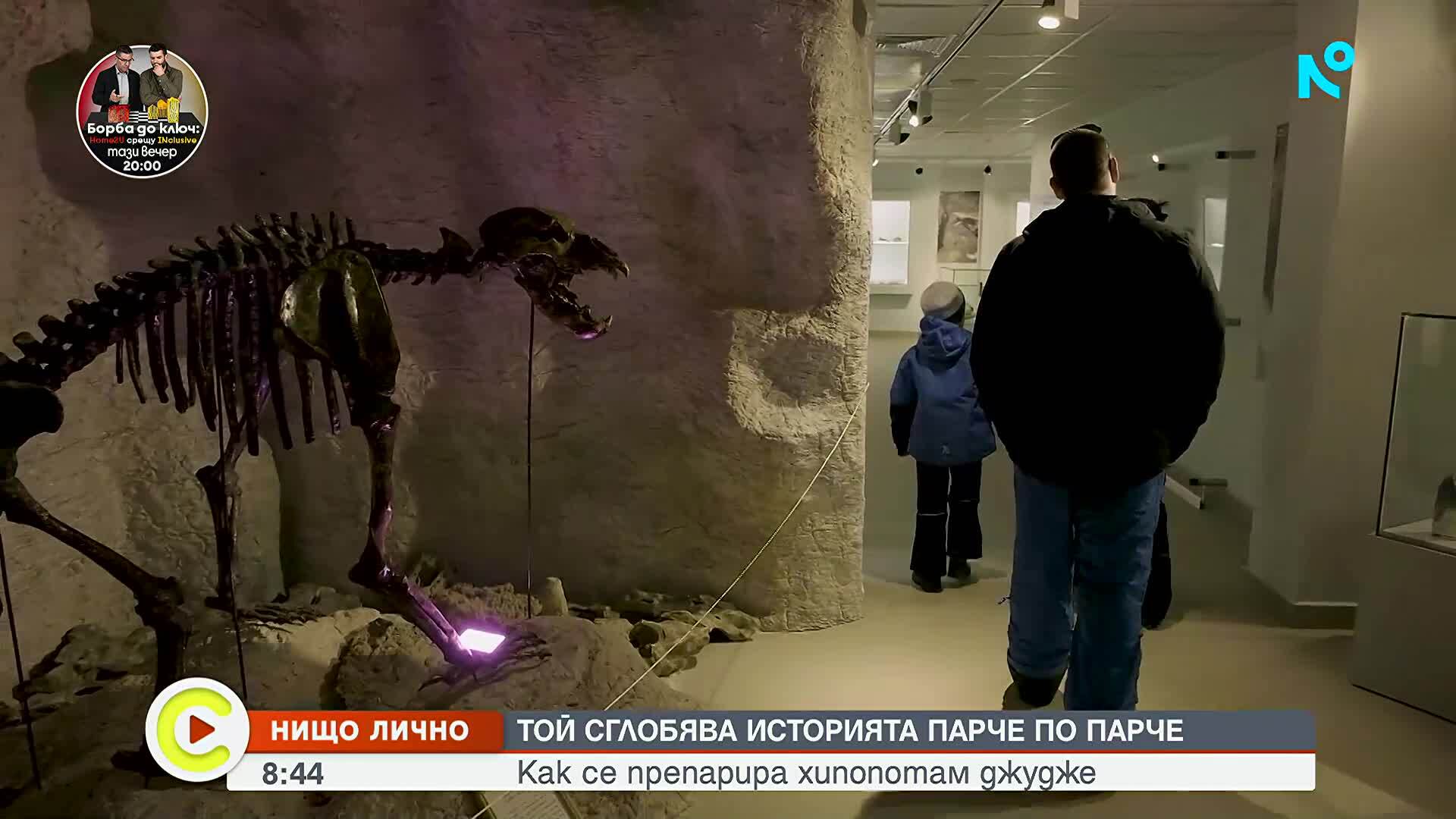 „Нищо лично”: Как се препарира хипопотам джудже
