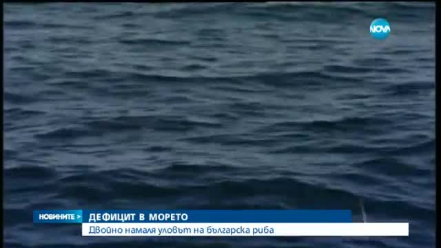 Уловът на българска риба намалял двойно