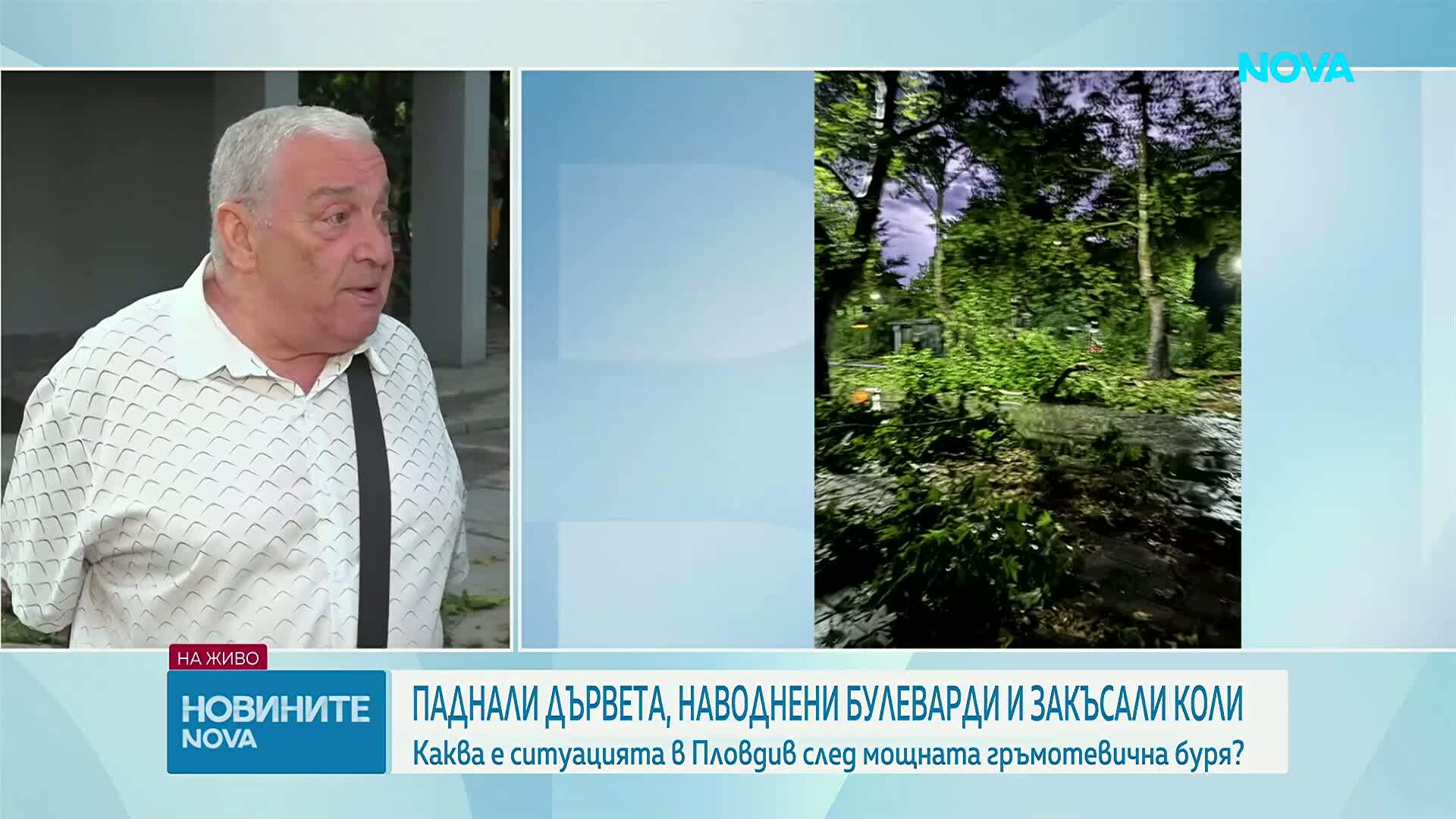 След бурята в Пловдив: Служби и граждани обединиха сили в разчистването на града