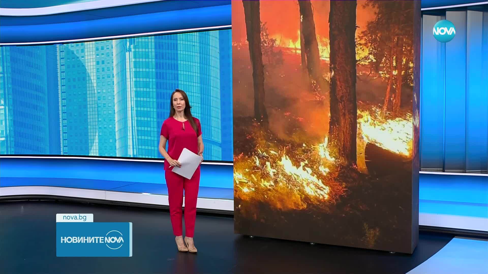 Новините на NOVA (23.06.2025 - обедна емисия)