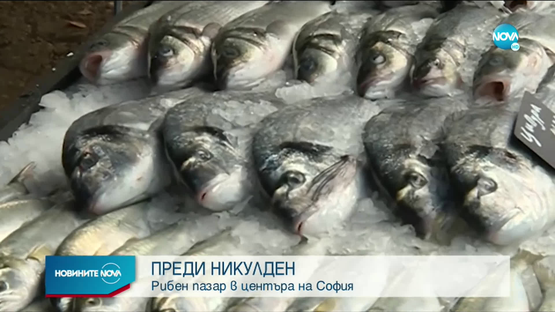 ПРЕДИ НИКУЛДЕН: Рибен пазар в центъра на София