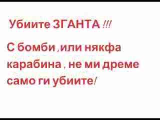 Анти Чалга - Анимация