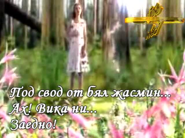 Дует На Цветята - Лео Делиб (Нов Клип И Превод)