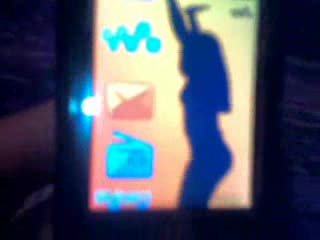 Sony Ericsson W850i Flash Themes