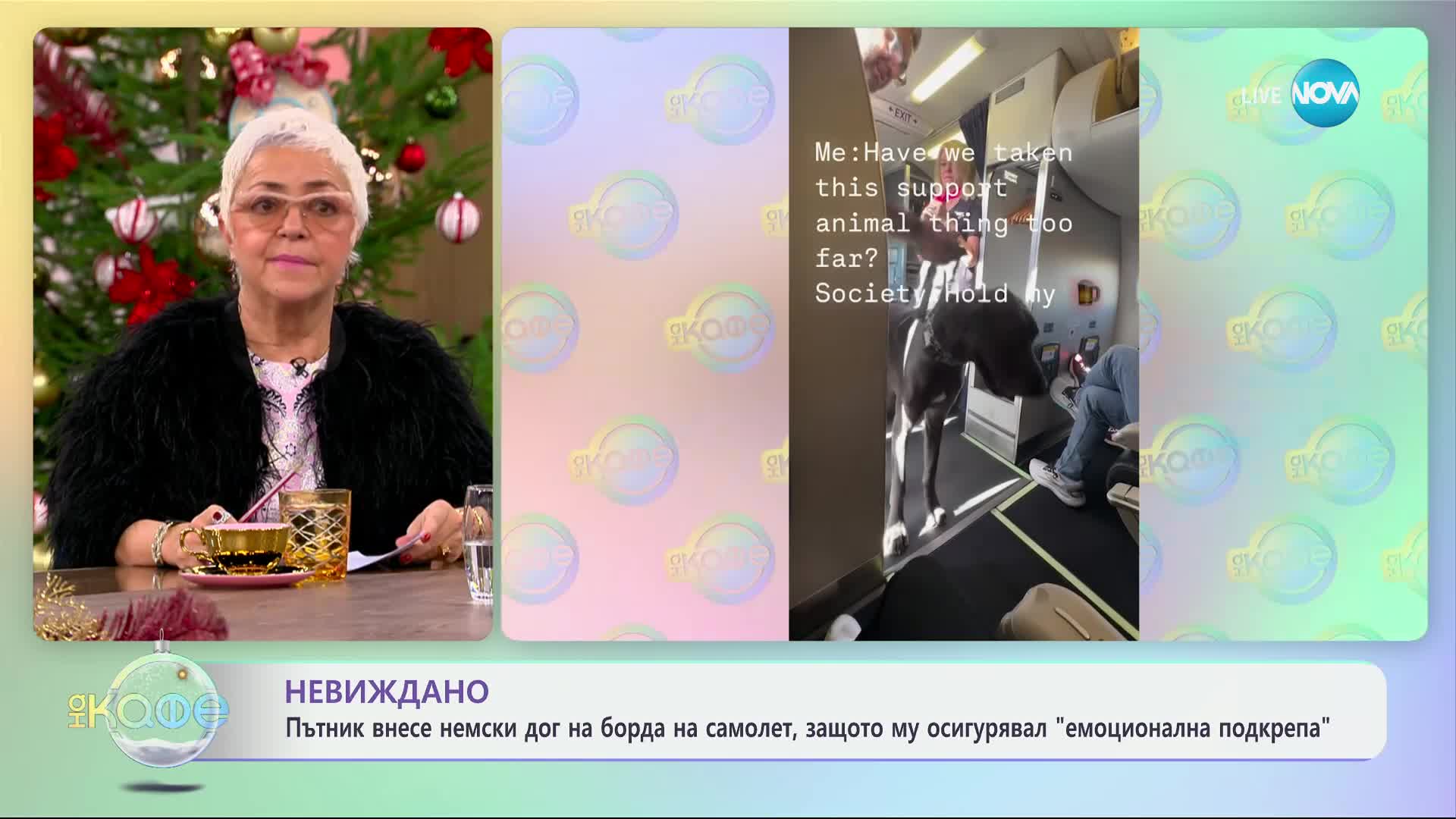 Невиждано: Пътник внесе немски дог на борда на самолет - „На кафе“ (19.12.2024)