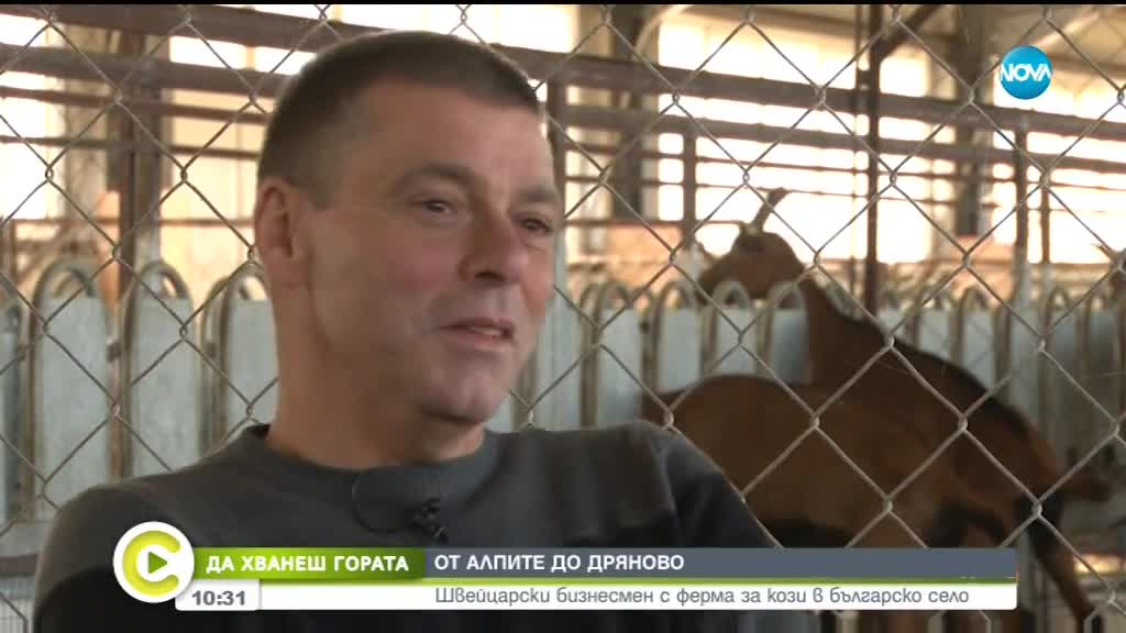 "Да хванеш гората": Швейцарски бизнесмен с ферма за кози в българско село