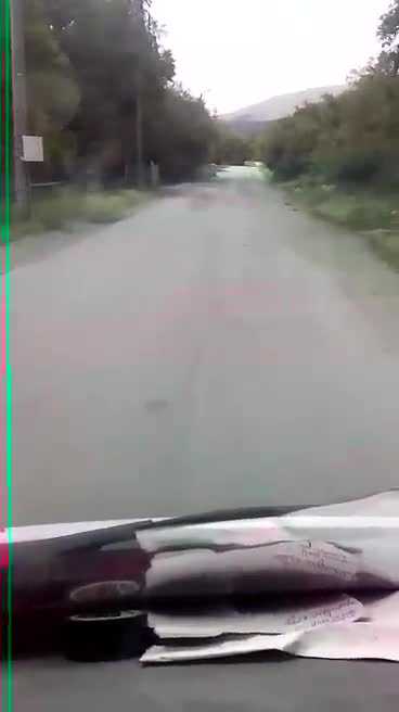 Пътища