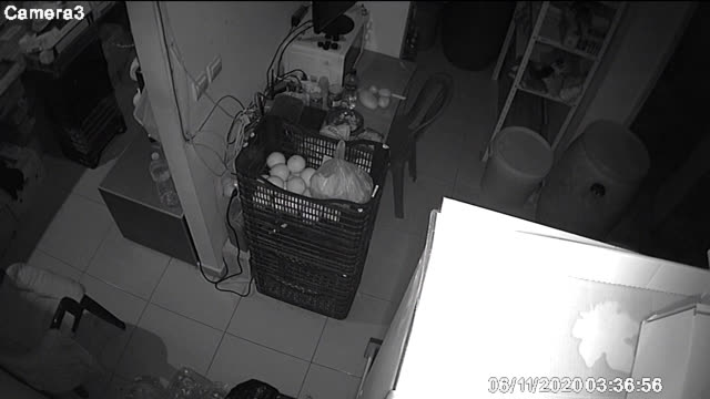 Дръжте крадците