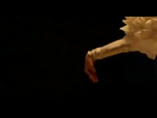/превод/ George Michael feat Mutya Buena - This Is Not Real Love