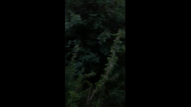 "Моята новина": Горна Оряховица, ул. "В. Левски"