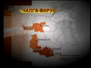чалга вирус !пазете Се