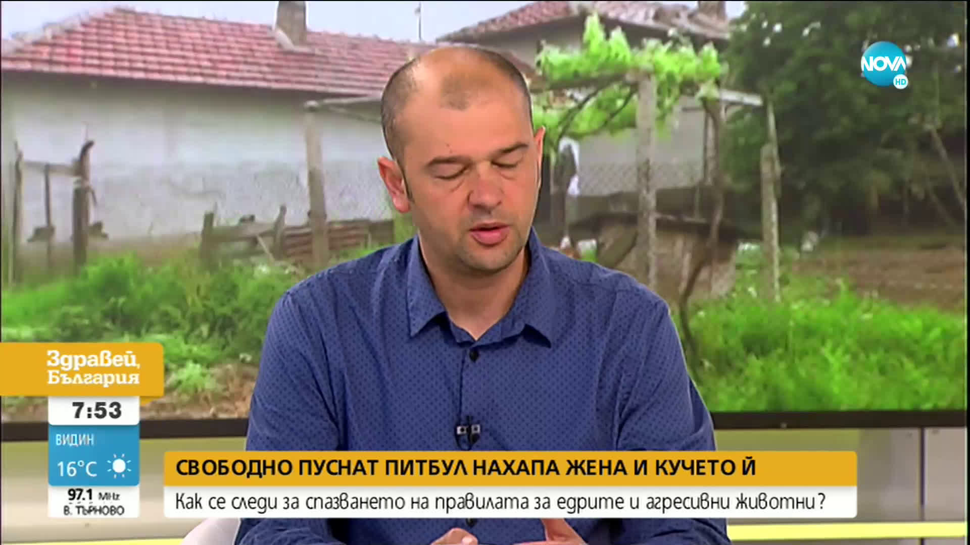 ПИТБУЛ НАХАПА ЖЕНА: Кой следи за спазването на правилата за едри и агресивни животни?