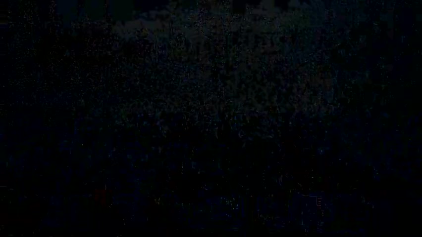 Филм за феновете на Левски