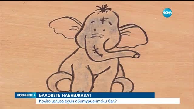 Новините на NOVA (15.05.2017 - обедна)