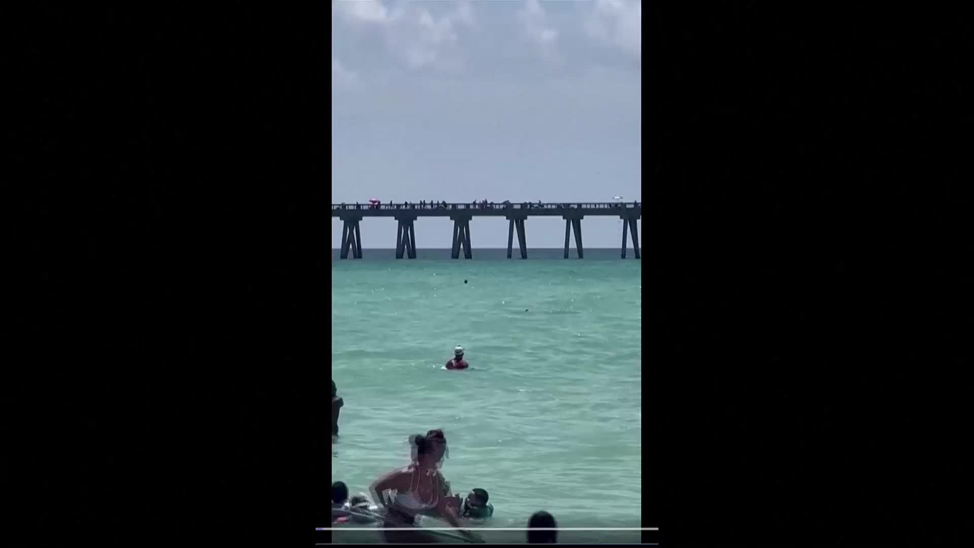 Акула се появи сред хората на плаж във Флорида (ВИДЕО)
