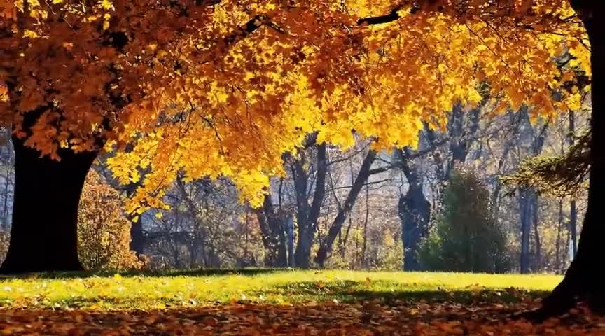 Яко Гръцко• 2013 Giorgos Livanis - Pali Dinatos (превод)