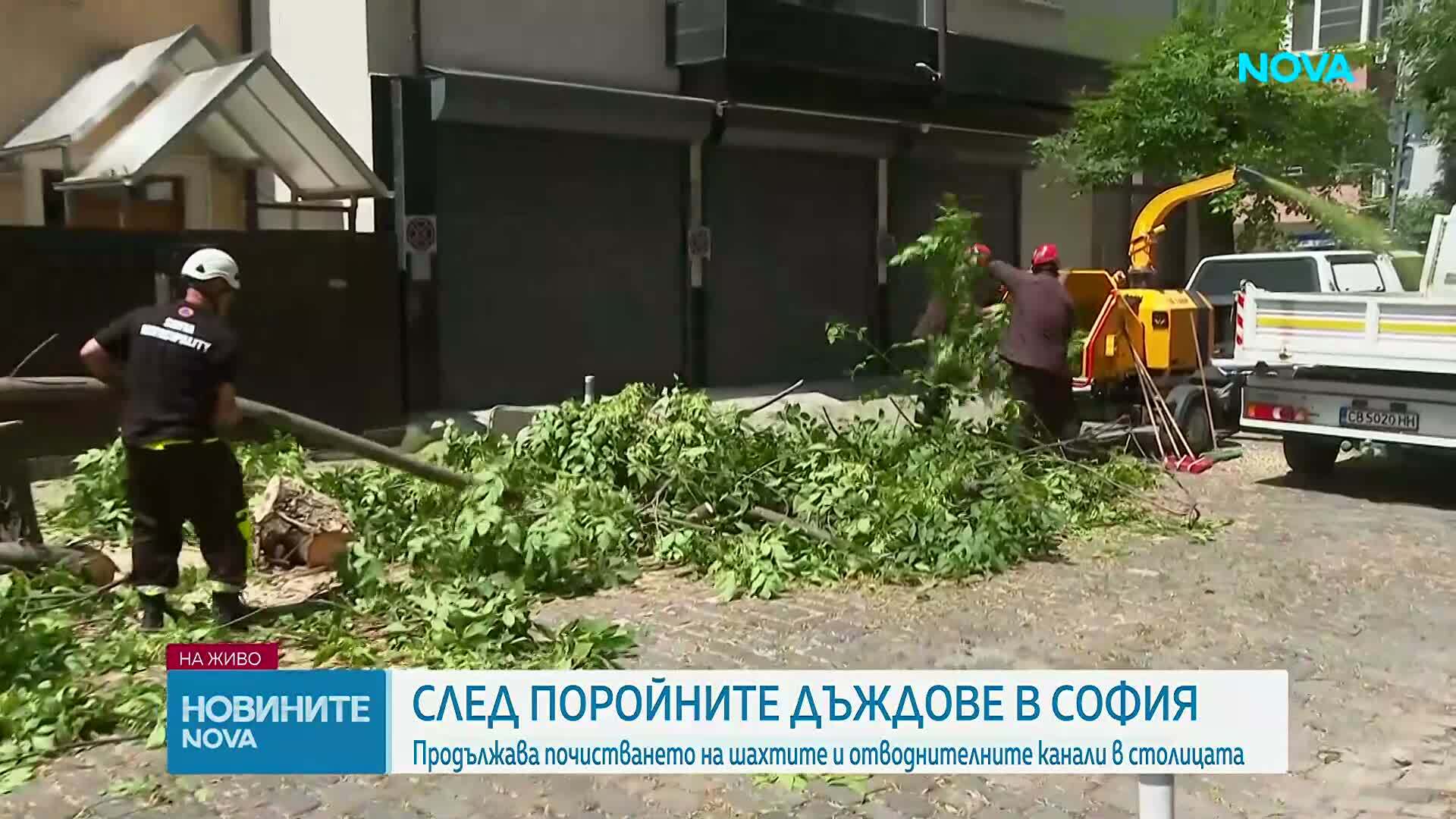 София разчиства щетите след бурята, подадени са близо 100 сигнала