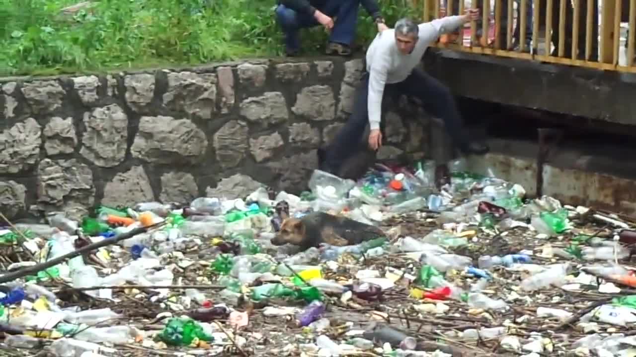 Хора спасяват куче паднало в река