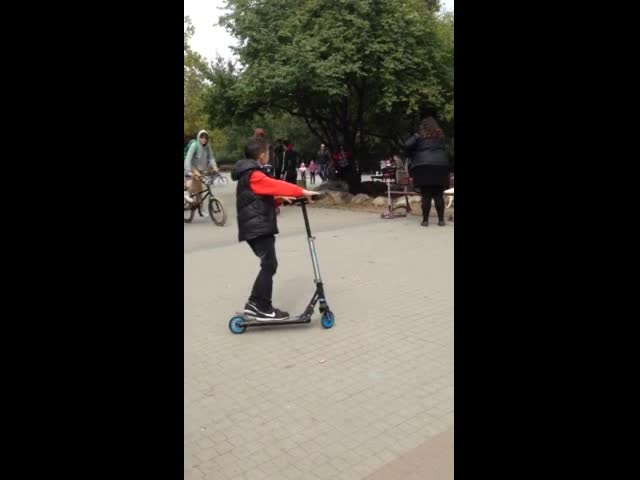 Питбули в парк "Гео Милев"
