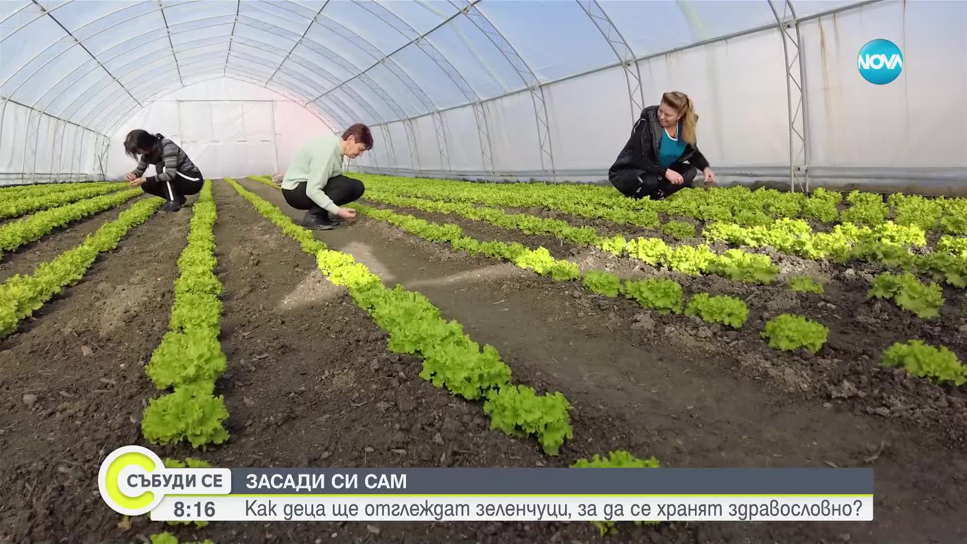 Засади си сам: Деца сами ще отглеждат зеленчуци, за да се хранят здравословно